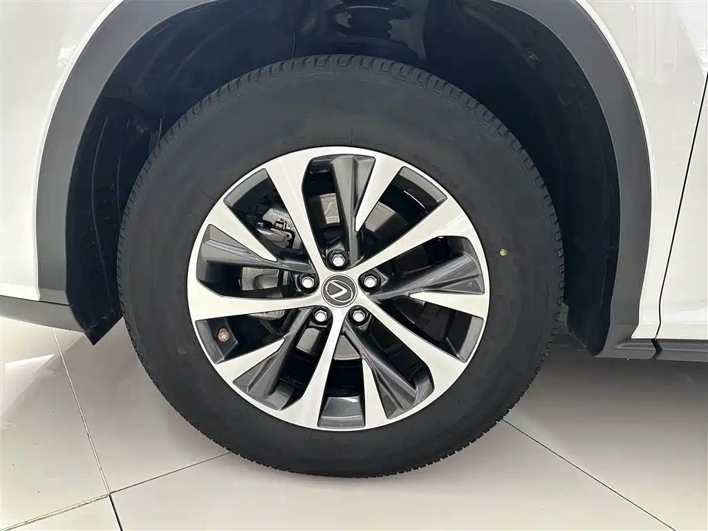 Lexus RX 2020 Facelift 300 2WD Elite Edition фото 5