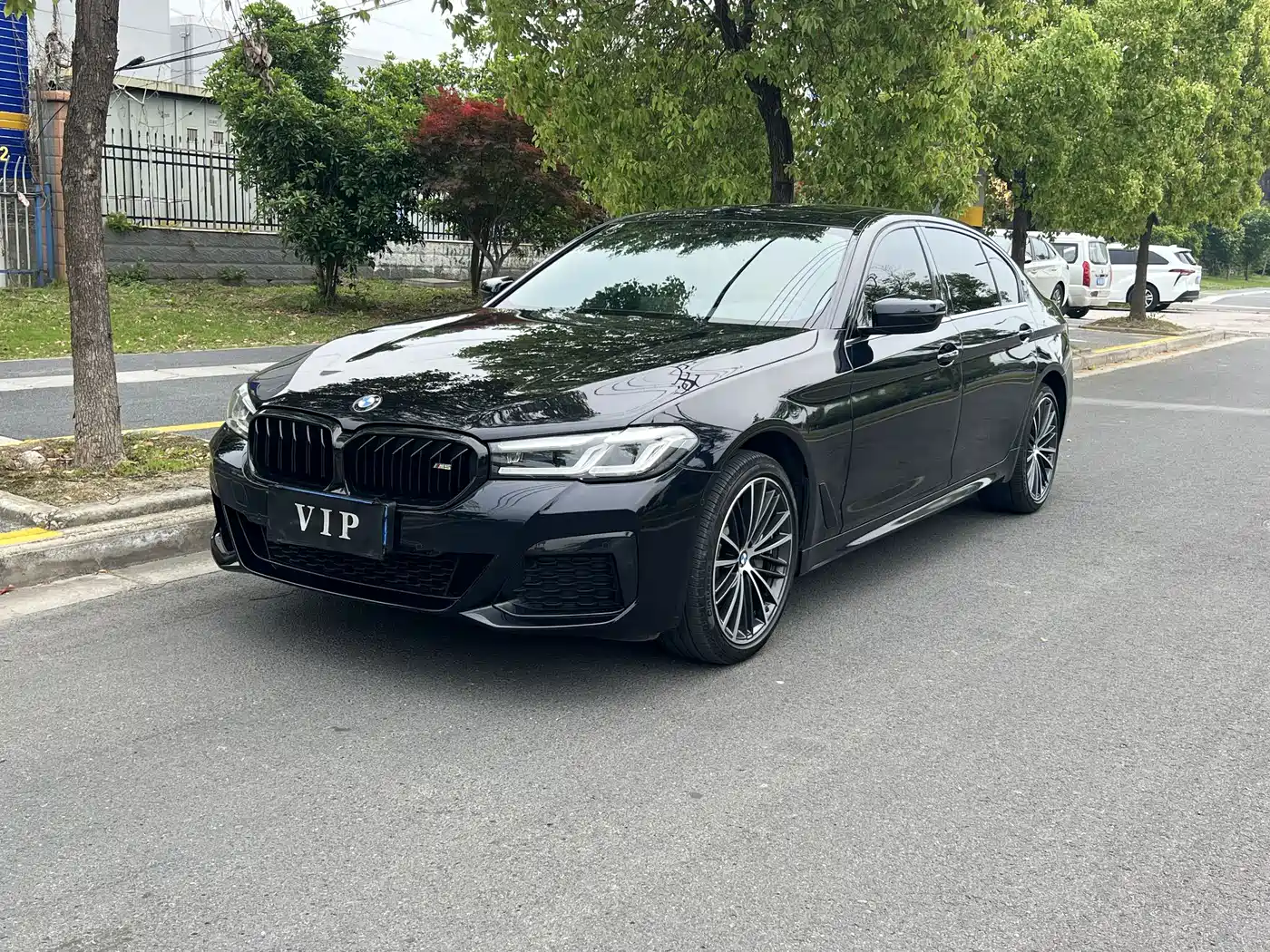 BMW 5 Series 2023 530Li Leading M Sport Package