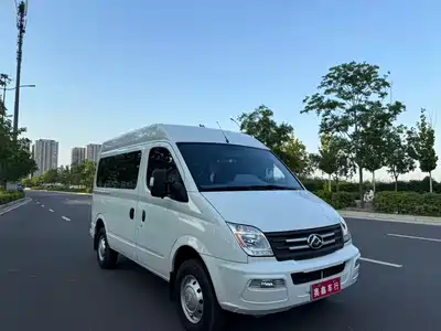 Maxus New V80
