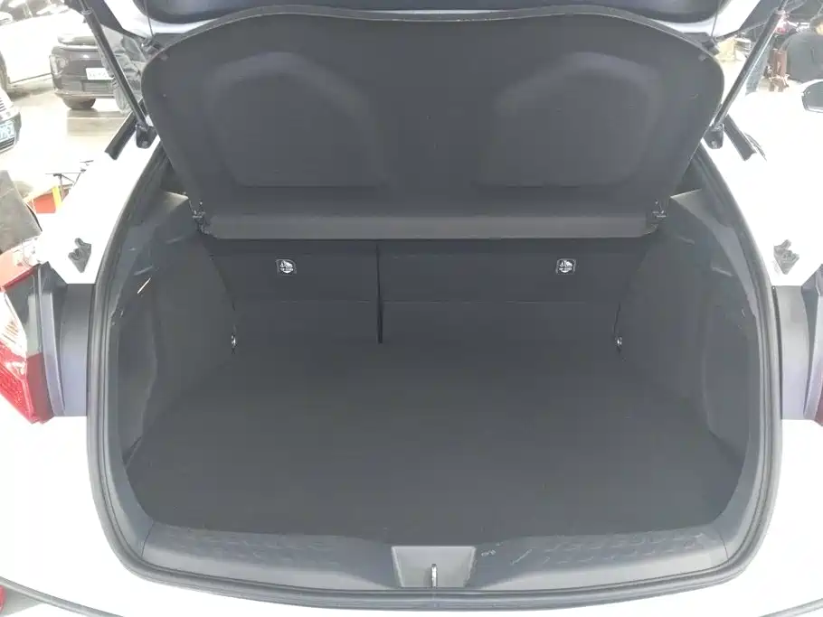 Toyota IZOA 2023 2022 Hybrid 2.0L Yixing Edition
