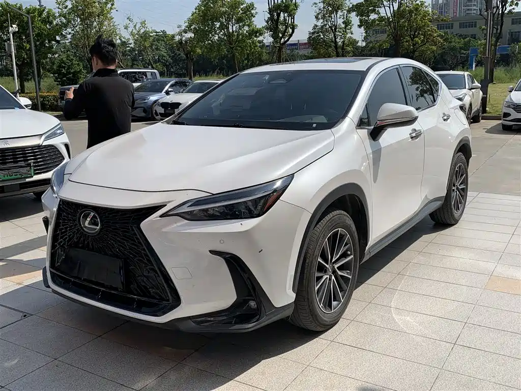 Lexus NX 2023 2022 260 FWD Joy Creation Edition