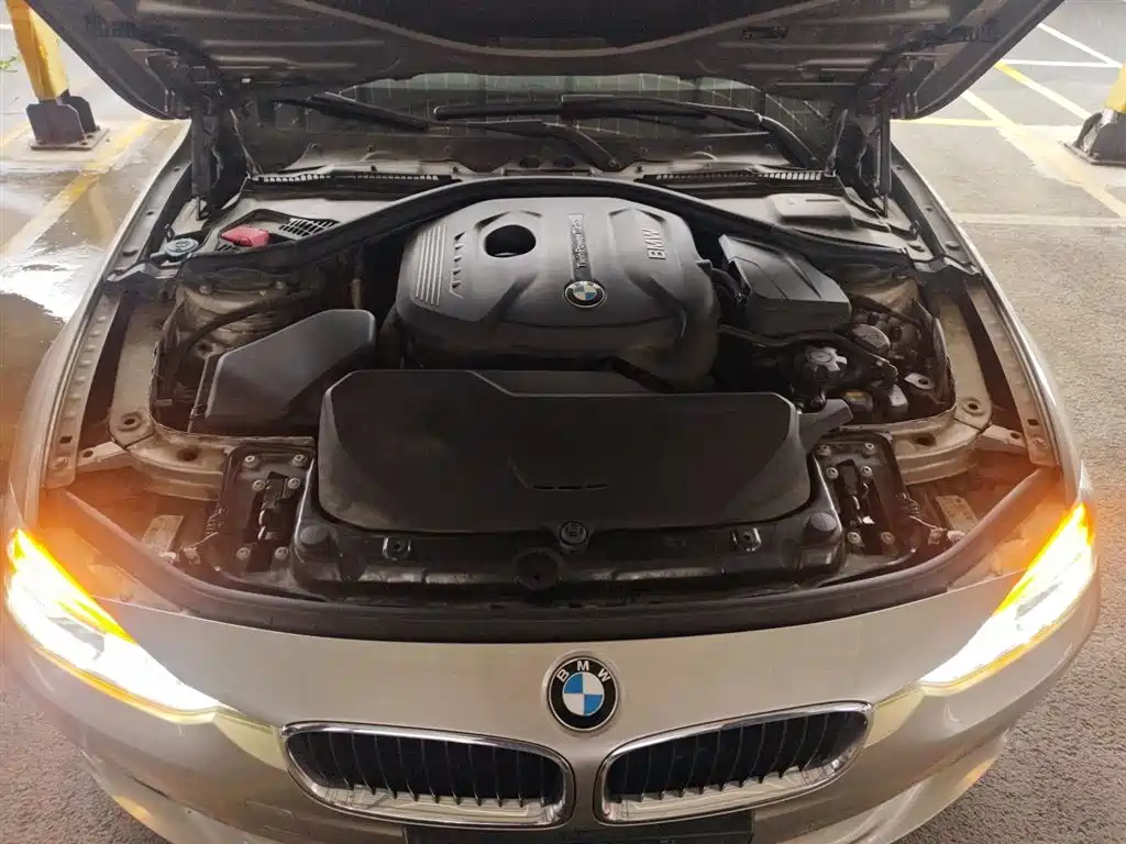BMW 3 Series 2017 320Li Fashion фото 20
