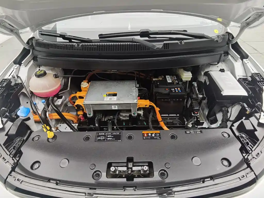Geely Geometry E Firefly 2023 2023 401KM Linglong Tiger 5-Seater