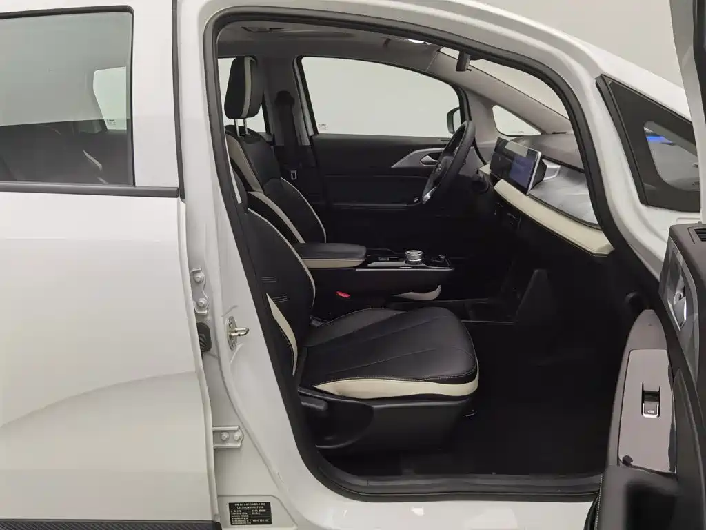 Geely Geometry E Firefly 2023 2023 401KM Linglong Tiger 5-Seater