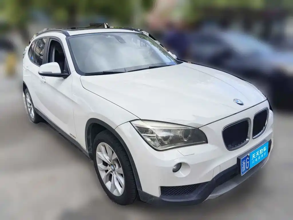 BMW X1 (Import) 2013 2012 sDrive18i Luxury