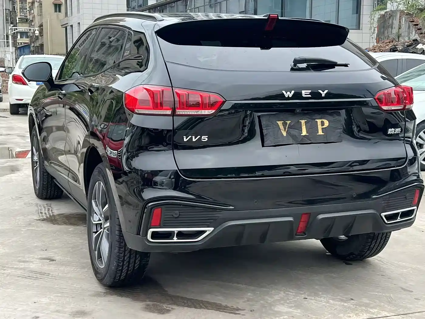 WEI PAI WEI BRAND VV5