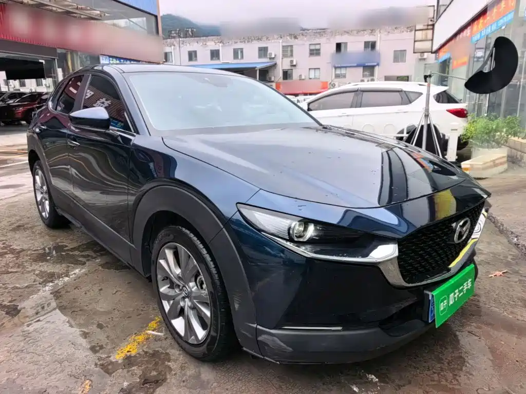 Mazda CX-30 2021 2021 2.0L Auto Elegant Joy Type