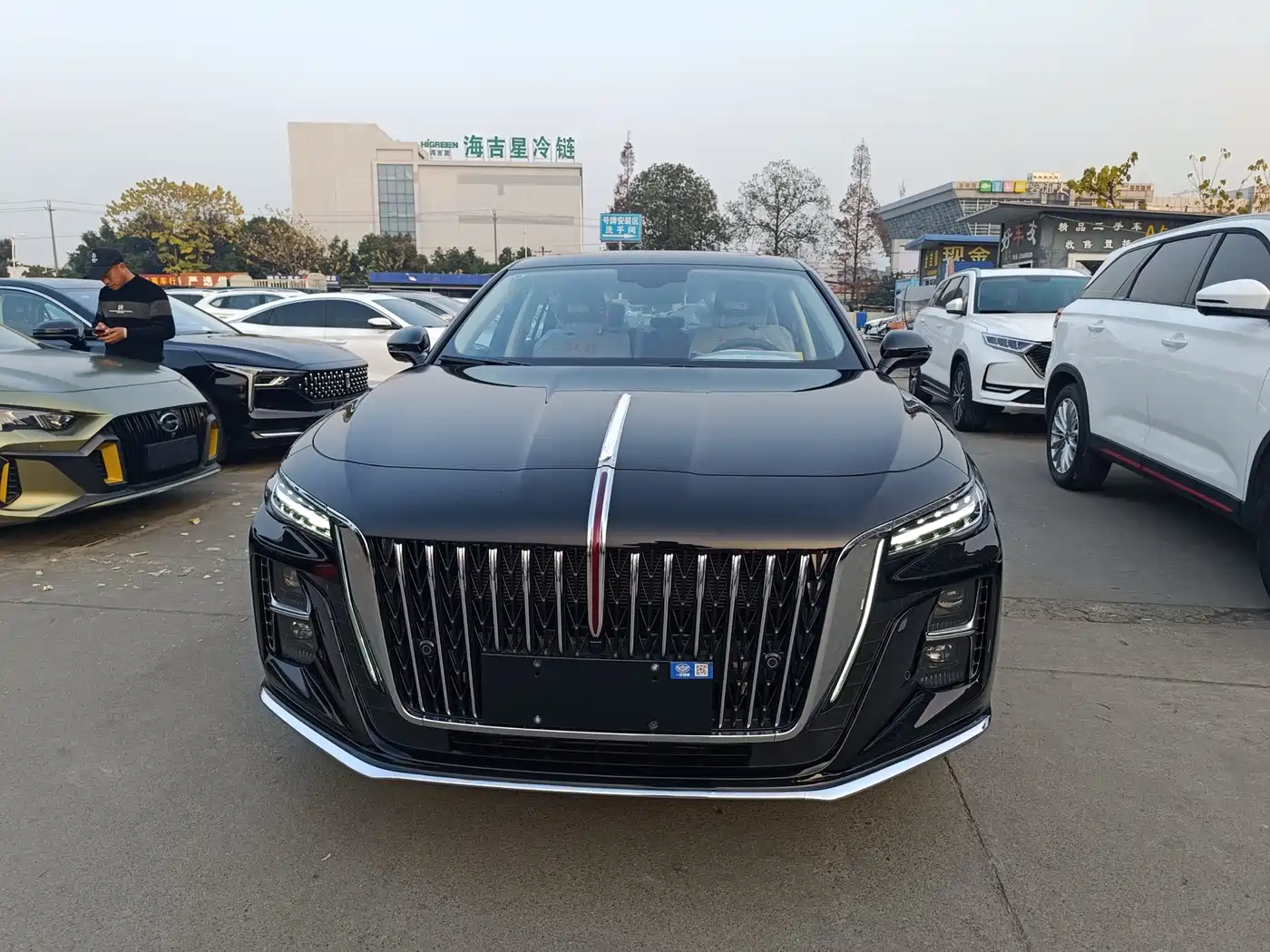 Hongqi H5 2024 1.5T DCT Smart Connect Flag Joy Edition фото 2