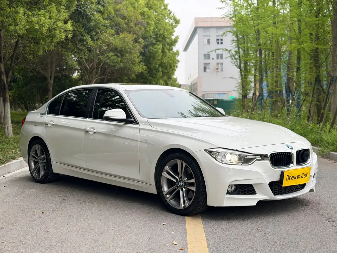 BMW 3 Series 2015 320Li Super Joy Fashion фото 9