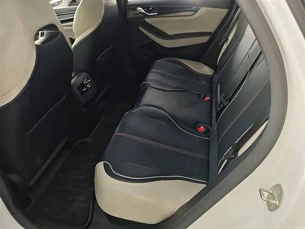BYD Qin PLUS 2023 EV 510KM Travel Edition фото 13