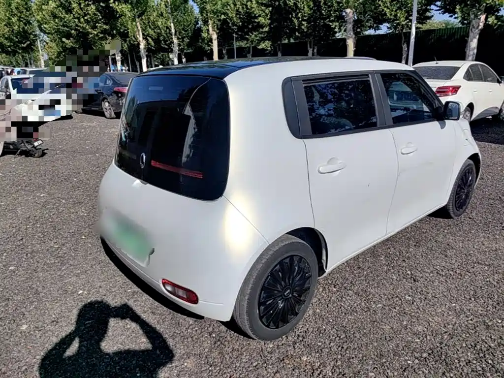 Ora White Cat 2020 2020 360km Luxury Model