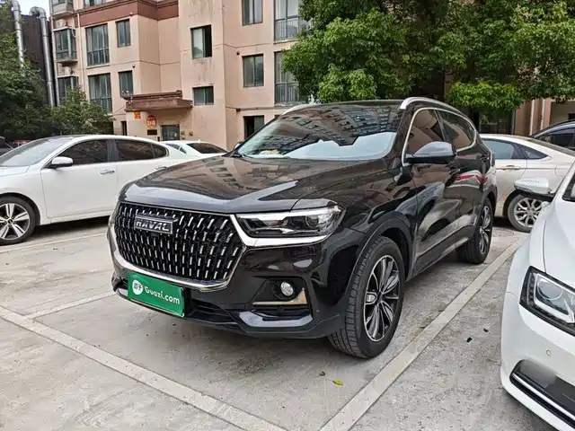  Haval Haval H6 2023 National Trend Edition 1.5T Automatic Champion