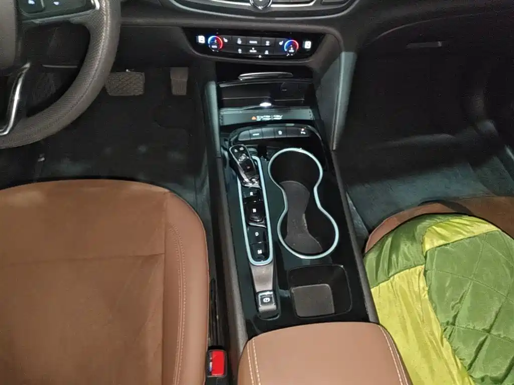 Buick Regal 2022 552T Smart Edition фото 14