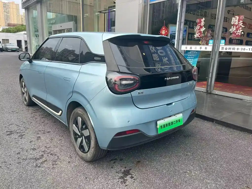 Dongfeng Yipai Nano 01 2024 2024 330 Air