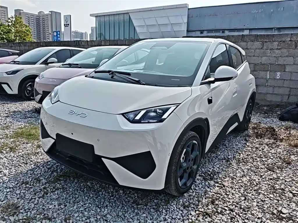 BYD Seagull 2025 Smart Driving Edition 405km Flying Edition фото 2