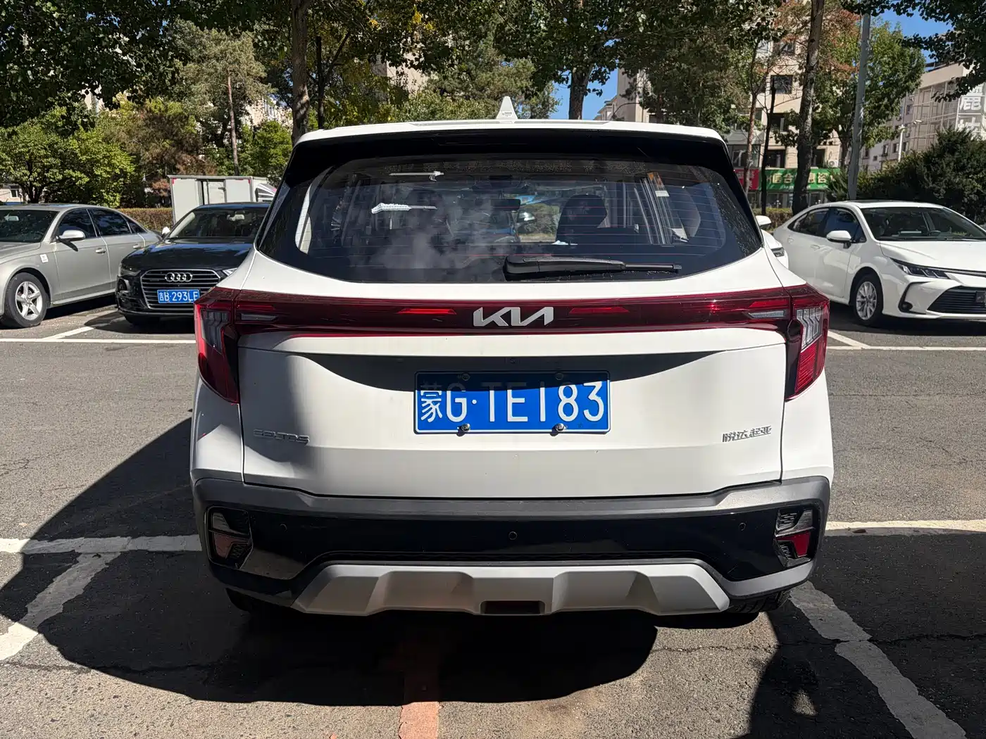 Kia Seltos 2026 2026 Model 1.5L IVT Comfort Edition