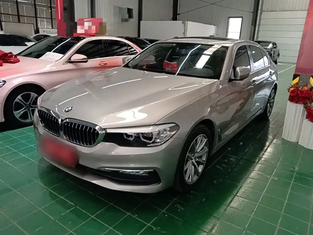 BMW 5 Series 2018 528Li Launch Special Edition фото 2