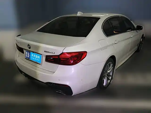 BMW 5 Series 2020 525Li M Sport Package — фото 2
