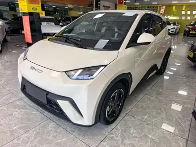 BYD Seagull