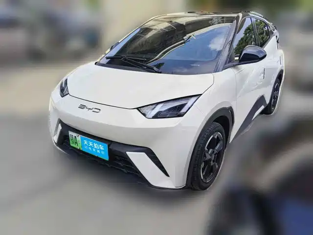 BYD Seagull 2023 Freedom Edition — фото 1