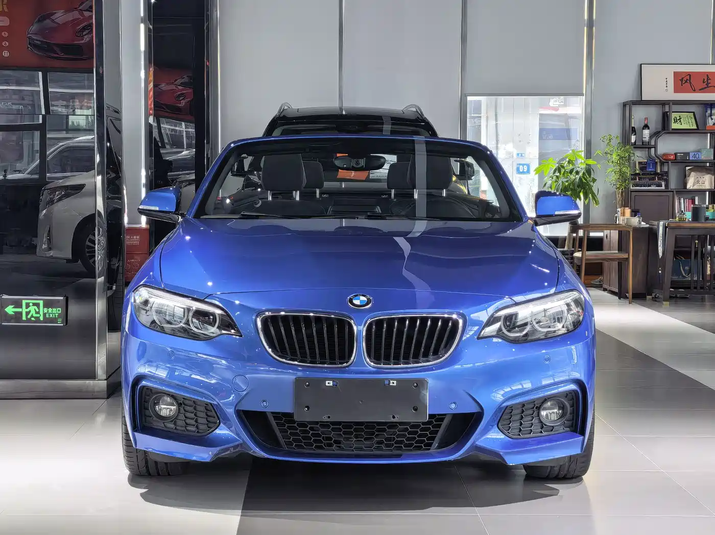 BMW 2 Series (Import) 2018 225i Convertible Coupe M Sport фото 2