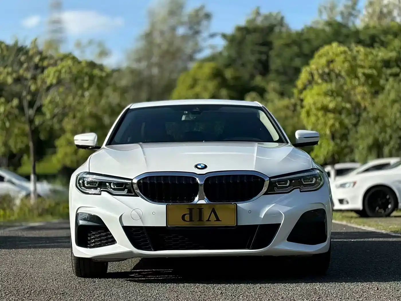 BMW 3 Series 2021 325Li M Sport Package фото 2