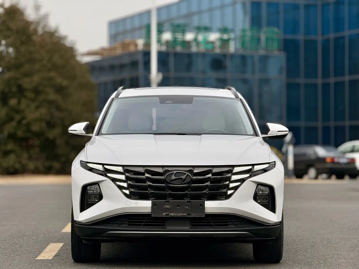 Hyundai Tucson 2022 Tucson L 2.0L Hybrid Premium Edition фото 2