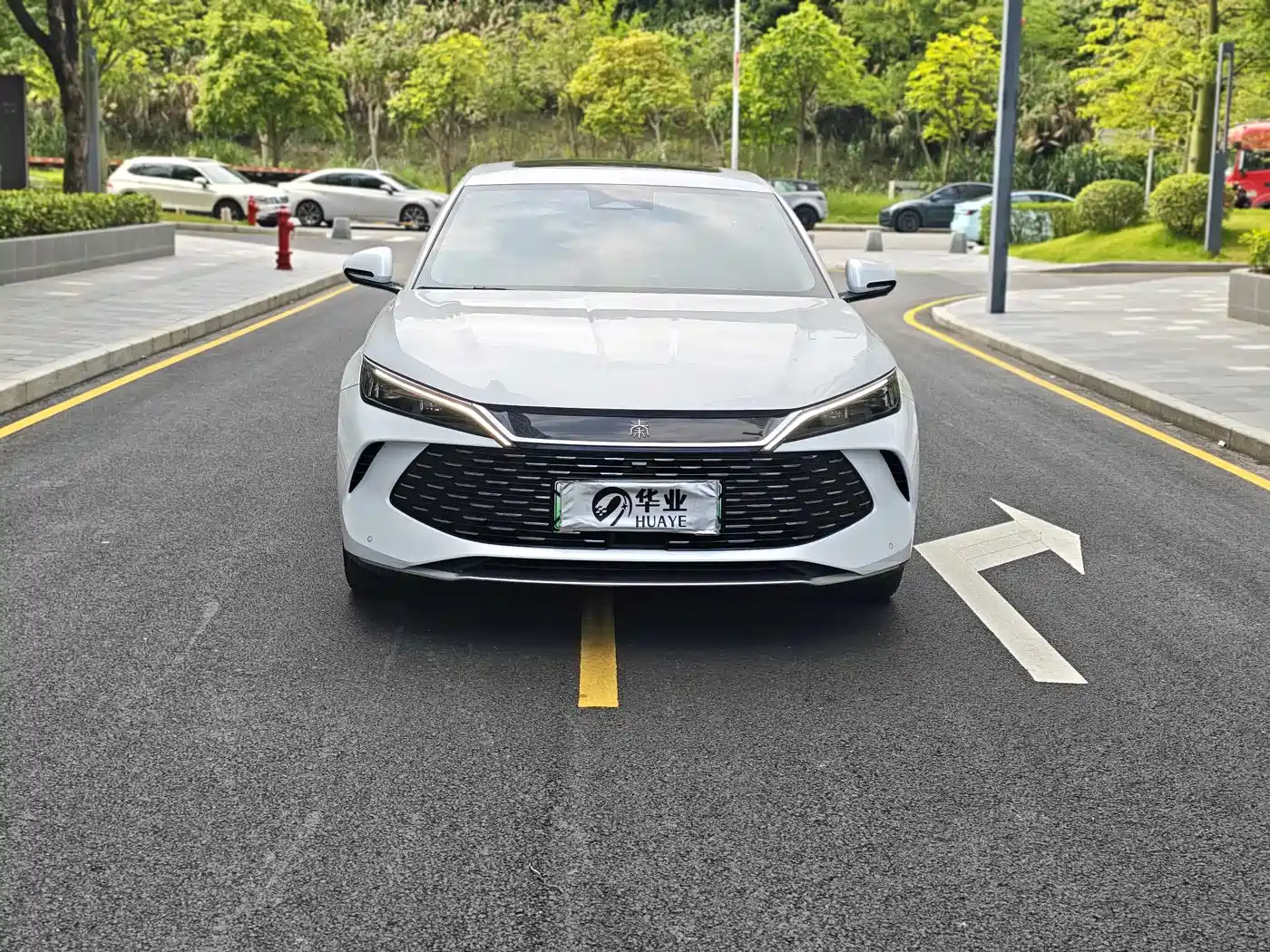 BYD Qin L 2024 DM-i 80KM Superior фото 2