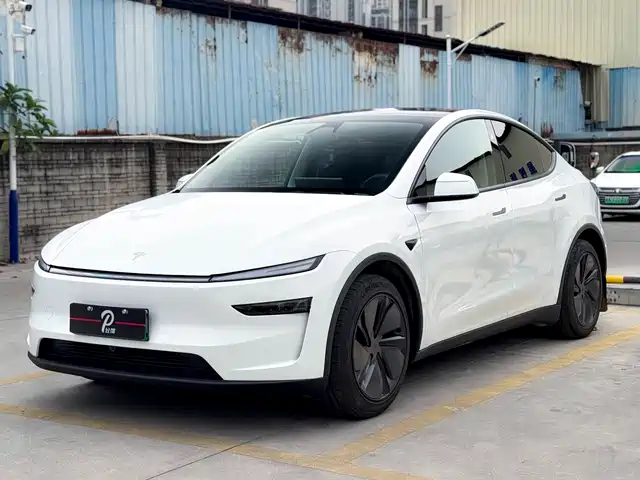 Tesla Model Y 2024 Rear-Wheel Drive Version