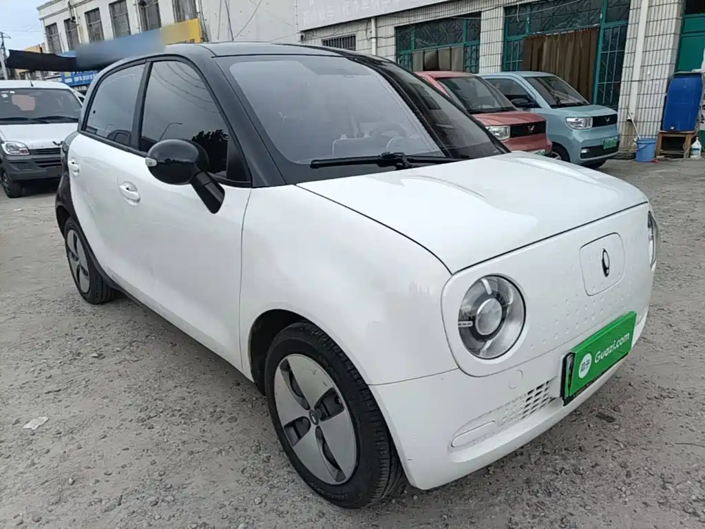 Ora Black Cat 2022 2022 Facelift 301km Pet Edition LFP Version