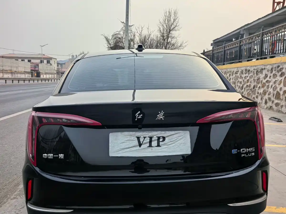 Hongqi HONGQI E QM5