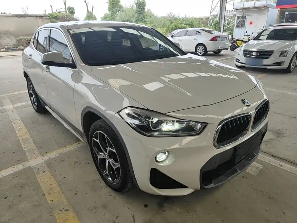 BMW X2 (Import) 2019 2019 sDrive20i M Off-Road Package China VI