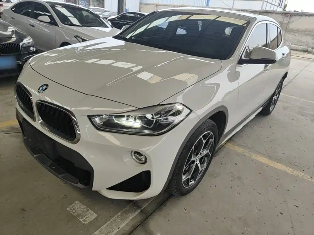 BMW X2 (Import) 2019 2019 sDrive20i M Off-Road Package China VI