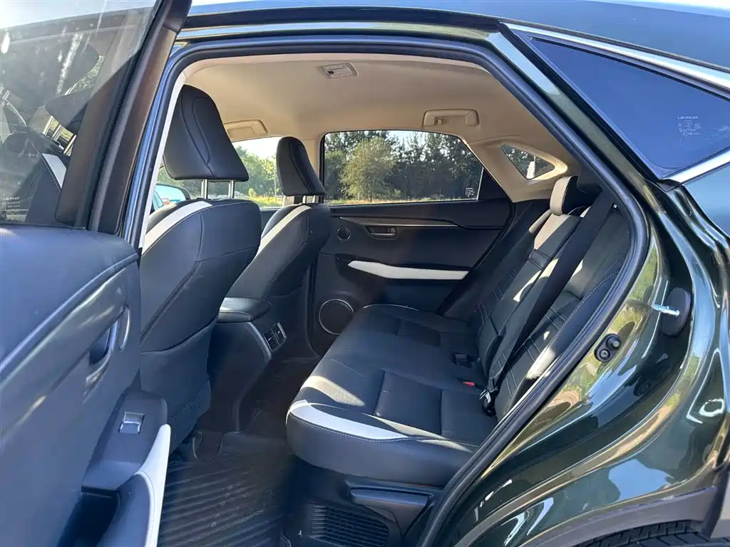 Lexus NX 2020 200 FWD Fengyi Edition China VI фото 10