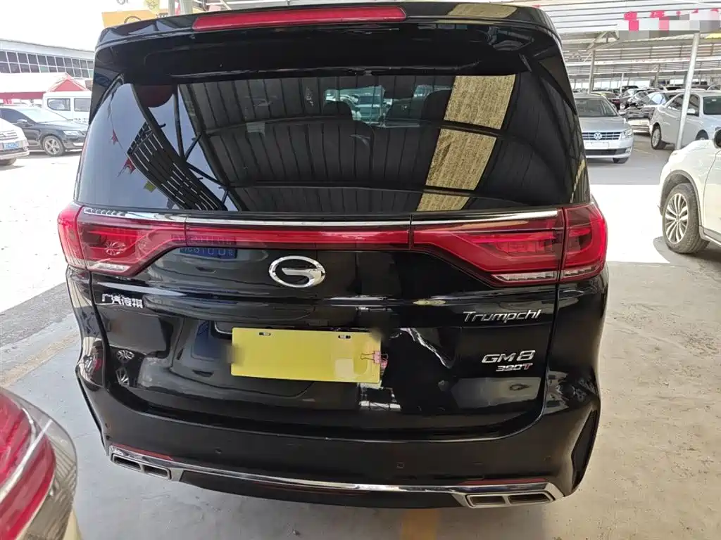 GAC Trumpchi Trumpchi M8 2020 Pilot 390T Prestige Edition фото 7