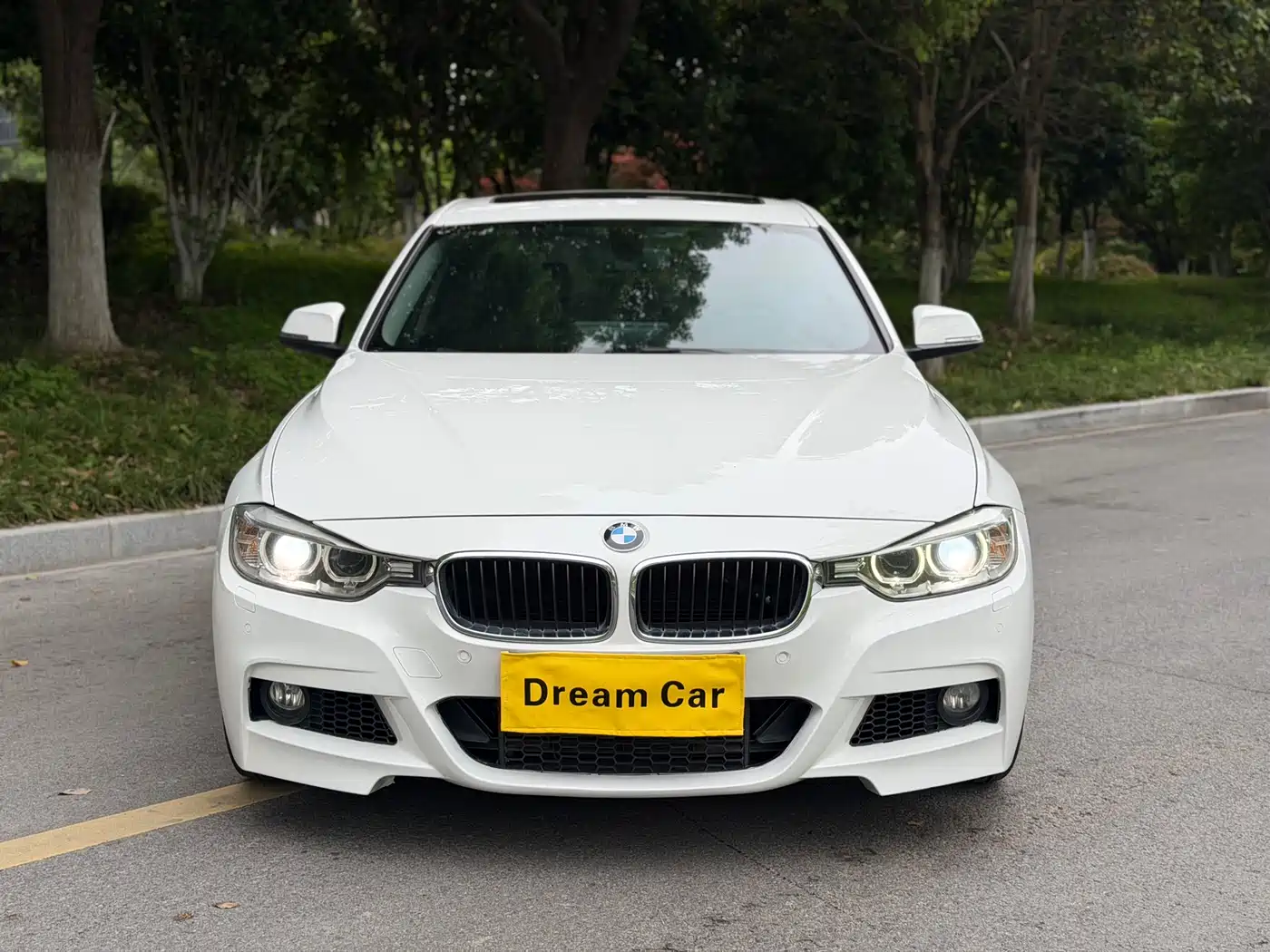 BMW 3 Series 2015 320Li Super Joy Fashion фото 2