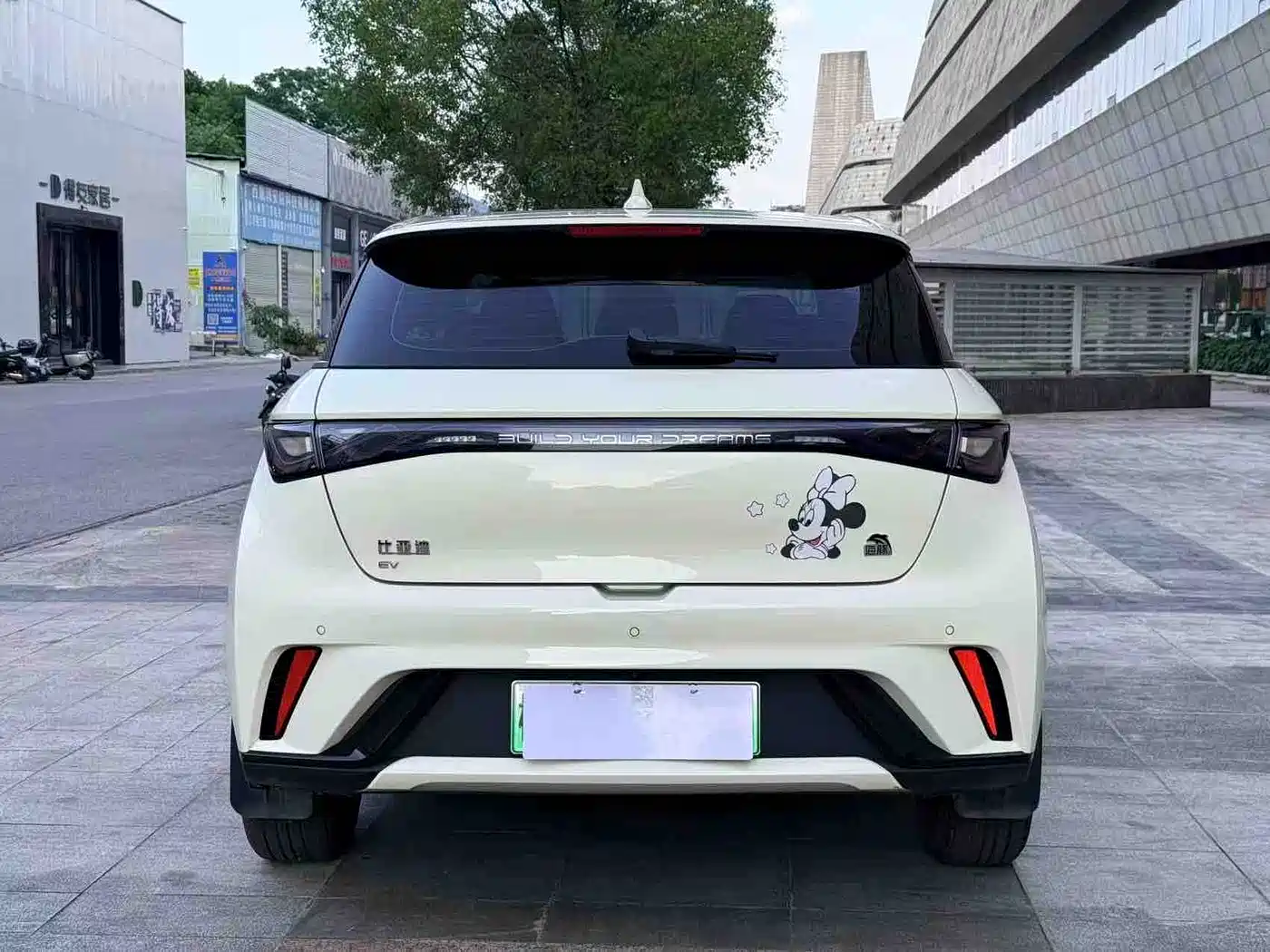 BYD Dolphin 2023 420km Fashion Edition фото 2
