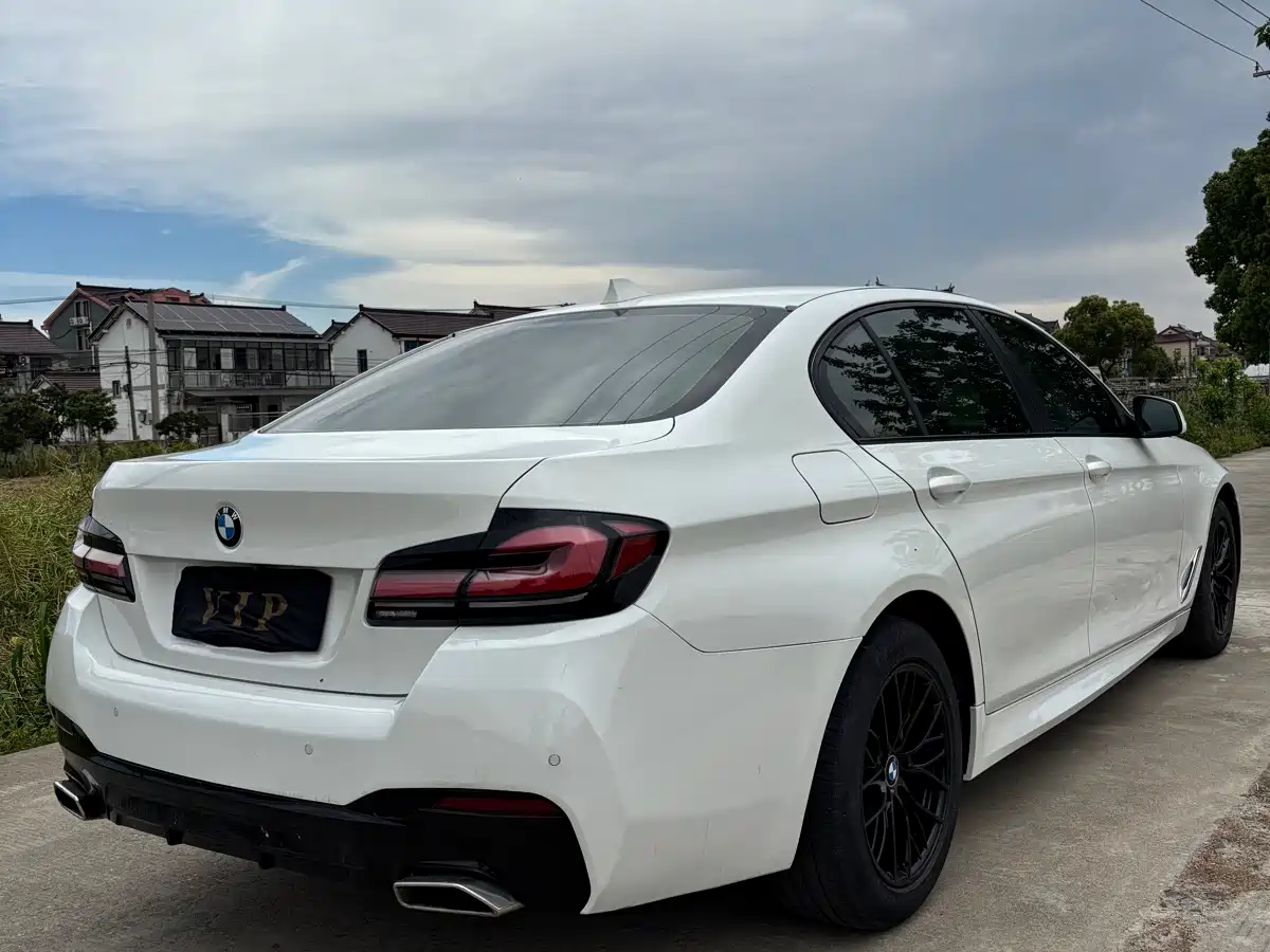 BMW 5 Series 2011 520Li Elegance фото 5