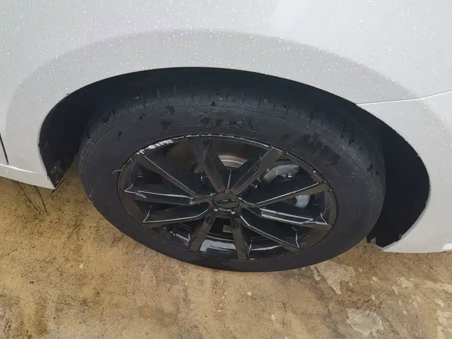 Geely Borui 2021 2021 1.8T Pilot Edition