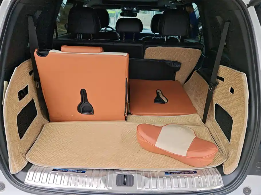 GAC Trumpchi Trumpchi GS8 2022 Pilot Series 2.0TGDI 2WD Luxury Smart Connect Edition (7-Seater) фото 4