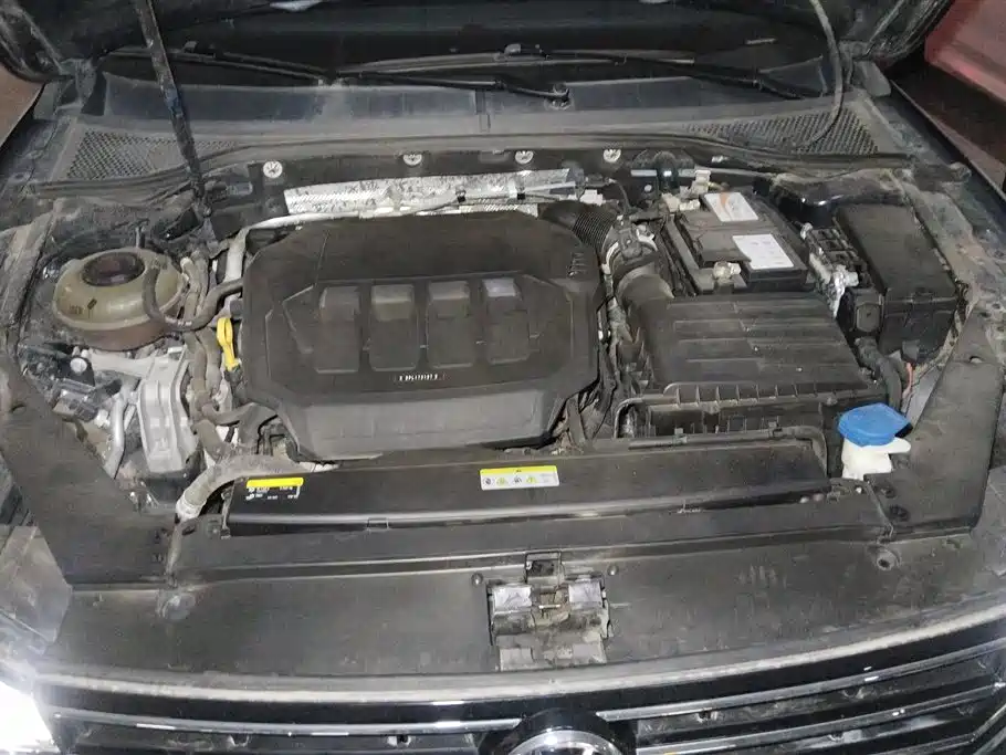 Volkswagen Magotan 2020 330TSI DSG Luxury фото 10