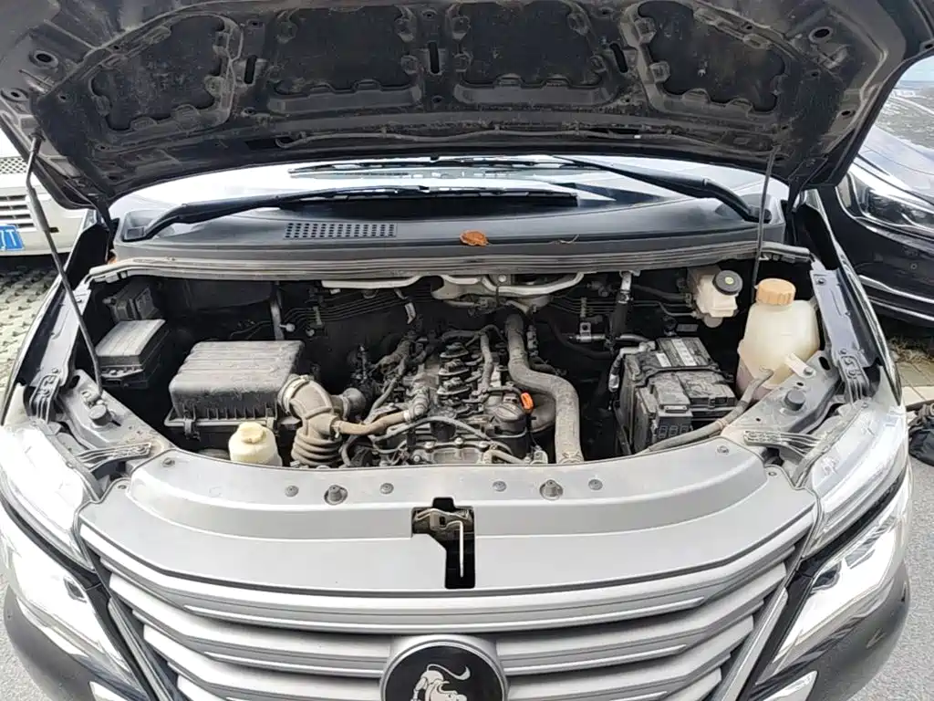 صورة 20 - Dongfeng Fengxing Lingzhi