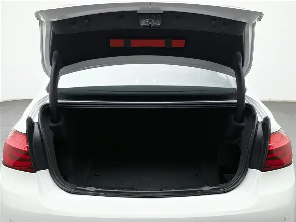 BMW 3 Series 2018 320Li xDrive Fashion Style фото 16