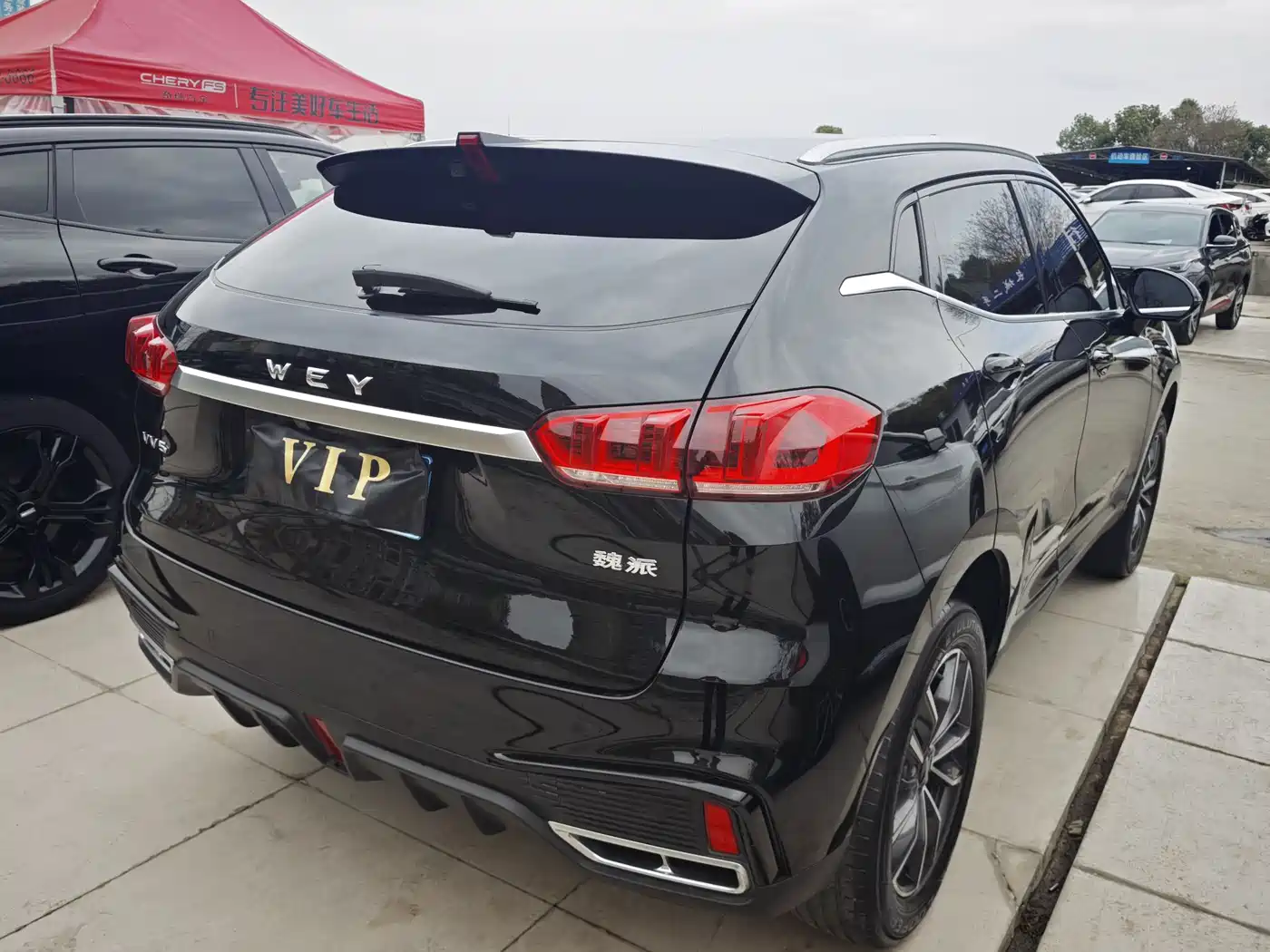 WEI PAI WEI BRAND VV5