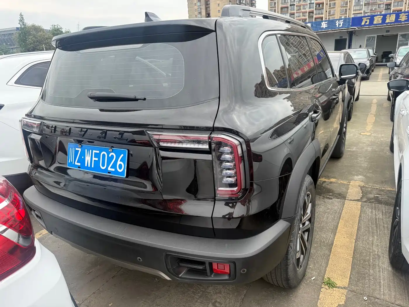 Haval Big Dog 2021 1.5T DCT 2WD Border Collie Edition фото 13