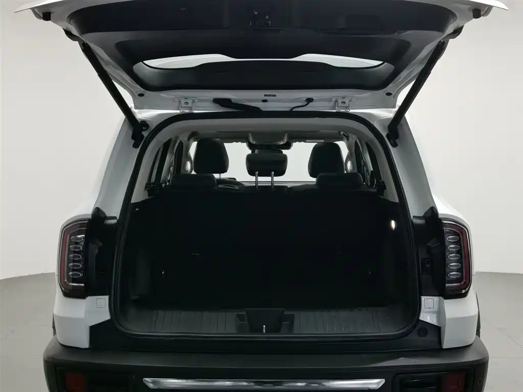 Haval Big Dog 2021 2.0T DCT AWD Howling Celestial Dog Edition фото 16