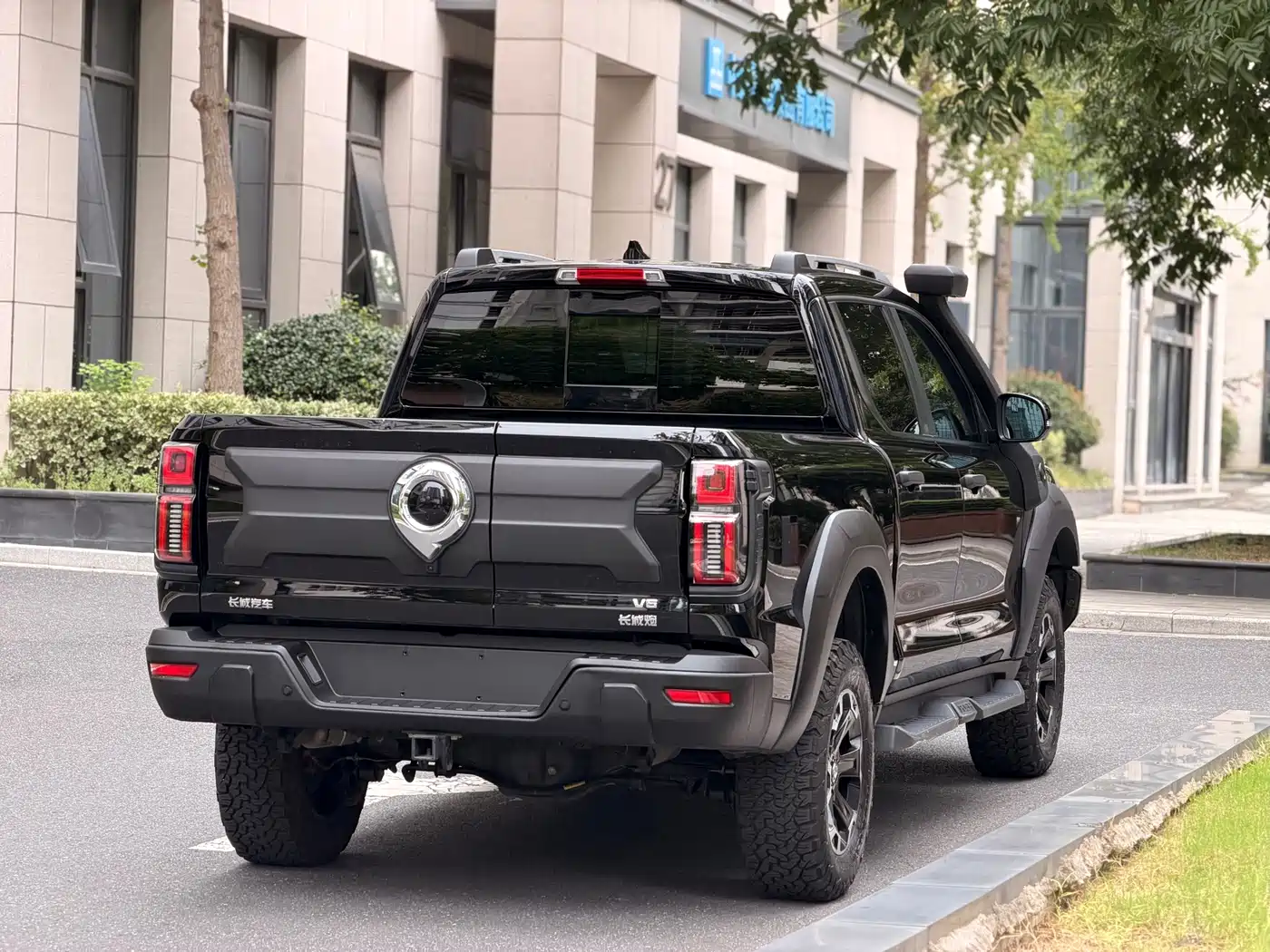 Great Wall Shanhai Cannon 2024 2023 3.0T V6 Gasoline Performance Edition