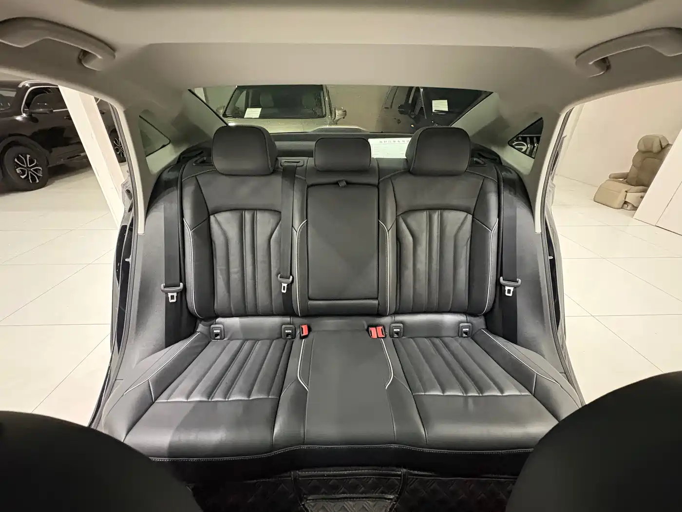 Volkswagen Passat 2023 330TSI Starlight Elite Edition фото 19