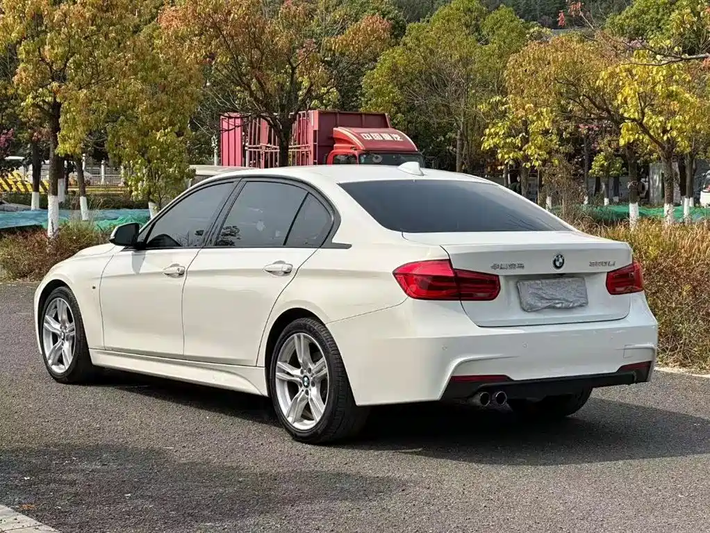 BMW 3 Series 2017 320Li M Sport фото 9