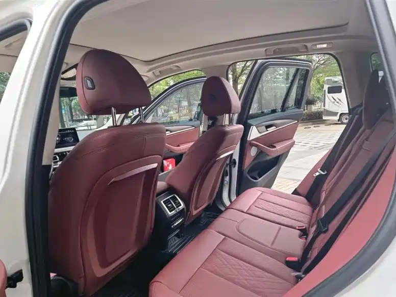 BMW X3 2022 Facelift xDrive30i Leading M Shadow Edition фото 5